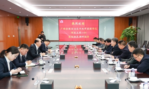 廣西壯族自治區(qū)河池市委副書記、市長王軍蒞臨桐昆