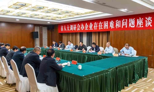 宿遷市人大常委會副主任、黨組副書記曹秀明蒞臨桐昆恒陽調(diào)研