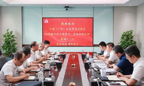 中國（廣西）自由貿(mào)易試驗(yàn)區(qū)欽州港片區(qū)管理委員會(huì)副主任、黨工委委員莫福文蒞臨桐昆調(diào)研