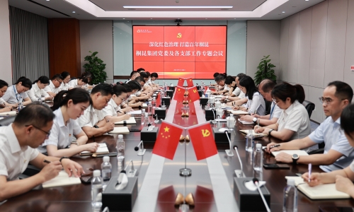 深化紅色治理 打造百年桐昆丨桐昆集團(tuán)黨委及各支部工作專題會(huì)議勝利召開！