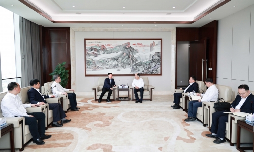 通用技術高新材料集團有限公司董事長、黨委書記莊小雄一行蒞臨桐昆調研