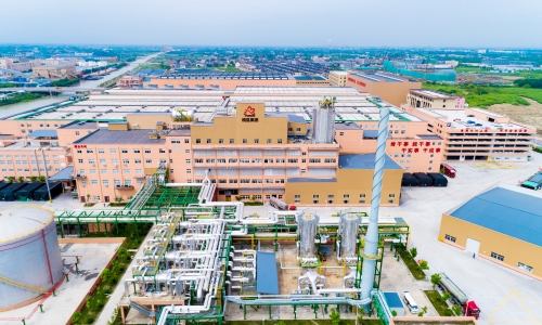 第九次獲獎！桐昆恒超代表集團(tuán)再奪中紡聯(lián)產(chǎn)品開發(fā)貢獻(xiàn)獎！