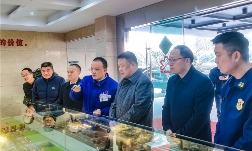 嘉興市委常委、常務(wù)副市長(zhǎng)朱苗蒞臨桐昆嘉興石化調(diào)研