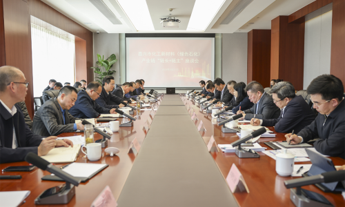 堅持“四化”發(fā)展，共話新質(zhì)生產(chǎn)力丨桐昆集團董事長受邀參加嘉興市化工新材料（綠色石化）產(chǎn)業(yè)鏈“鏈長+鏈主”座談會！