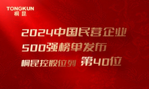 首進前50！桐昆，中國民營企業(yè)500強第40位！